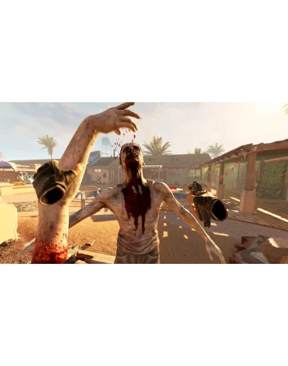 Arizona Sunshine 2 Steam Ключ