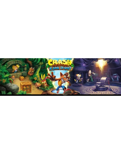 Crash Bandicoot N.SaneTrilogy PS4/PS5 Активация П2П3