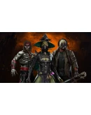 Mortal Kombat 11 Masquerade Skin Pack Steam Gift Россия