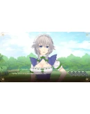 Touhou Gensokyo Visitor Steam РУ+UA+KZ+СНГ