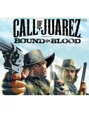 Call of Juarez: Bound in Blood Steam Ключ