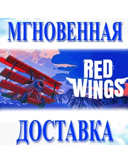 Red Wings: Aces of the Sky Steam Key