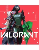 VALORANT POINTS375-8900VPTURKEYбыстрый