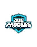 Due Process Steam РУ+UA+KZ+СНГ