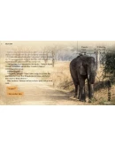 Wanderlust: Travel StoriesGOGВесь Мир + РФКлюч