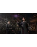 Hogwarts Legacy Deluxe Edition STEAMАвтоакт