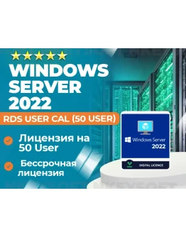 Ключ RDS Server 2022 50 User CAL ОНЛАЙН