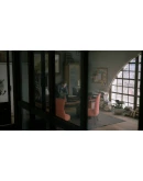 TWIN MIRRORSTEAMВЕСЬ МИР + РФКЛЮЧ