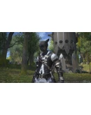 FINAL FANTASY XIV Online - Collector's Xbox Series XS