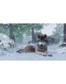 Planet Zoo: Ultimate Edition Xbox Series XS