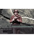 Felvidek АВТОДОСТАВКА STEAM РОССИЯ