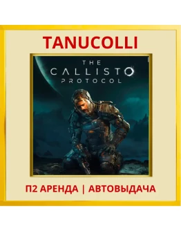 The Callisto Protocol (PS/PS4/PS5/RU) Аренда 7 суток