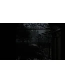 IRREVERSIBLE SteamРФ +МирKey