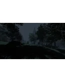 IRREVERSIBLE SteamРФ +МирKey