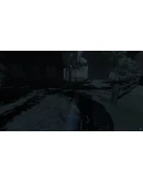 IRREVERSIBLE SteamРФ +МирKey