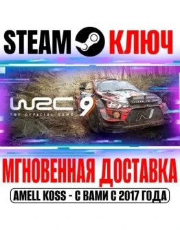 WRC 9 FIA World Rally Championship Deluxe Steam Ключ