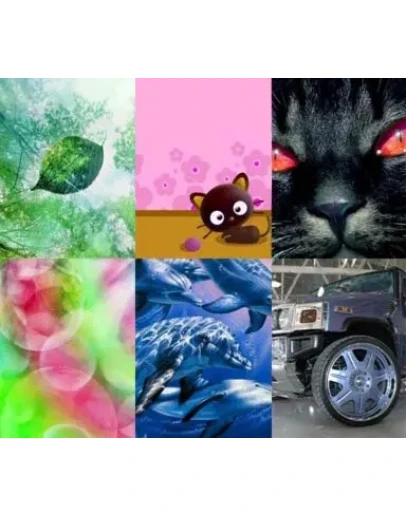 667 картинок для твоей мобилы + БОНУС