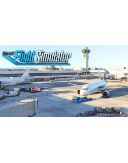 Microsoft Flight Simulator 2020 Standart Аккаунт