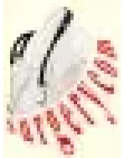 Справочник клинических симптомов и синдромов