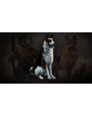Icarus: Pet Companions Pack DLC STEAM GIFT РОССИЯ Icarus: Pet Companions Pack DLC STEAM GIFT РОССИЯ
