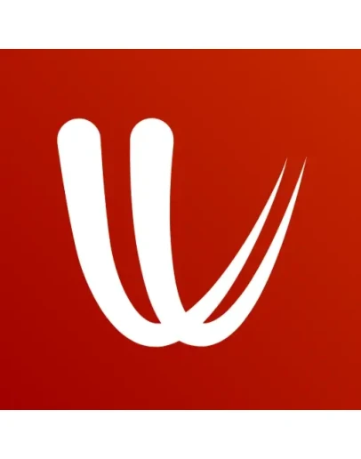 Windy Premium Подписка 12 мес. на Ваш аккаунт