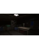 Amanda the Adventurer Steam Ключ РФ+Мир +Бонус