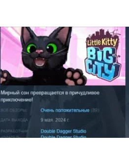 Little Kitty, Big City АВТОДОСТАВКА STEAM РОССИЯ