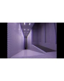 Disminal АВТОДОСТАВКА STEAM GIFT РОССИЯ