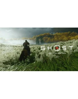 Ghost of Tsushima Directors Cut + гарантия + все DLC