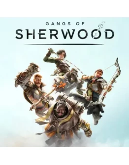 Gangs of Sherwood PS Турция На ВАШ аккаунт!