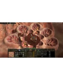 PERIMETER: Legate Edition * STEAM RU АВТО 0