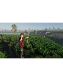 Taora * STEAM РОССИЯ АВТОДОСТАВКА 0 КАРТЫ