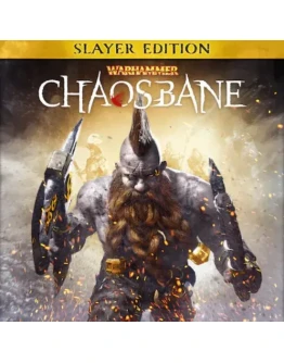 Warhammer: Chaosbane PS Турция На ВАШ аккаунт!