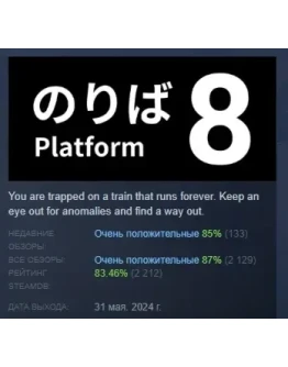 Platform 8 АВТОДОСТАВКА STEAM РОССИЯ