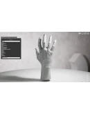 HAELE 3D - Hand Poser Lite АВТОДОСТАВКА STEAM РОССИЯ