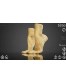HAELE 3D - Feet Poser Lite АВТОДОСТАВКА STEAM РОССИЯ