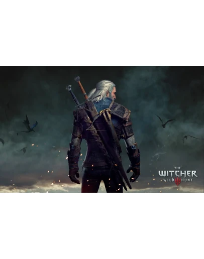 The Witcher 3: Wild Hunt/PS4-PS5+ дополнения(2)