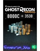 Tom Clancys Ghost Recon Wildlands - Extra L XBOX DLC Tom Clancys Ghost Recon Wildlands - Extra L XBOX DLC