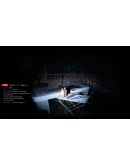 Madhouse Madness: Streamer's Fate * STEAM RU
