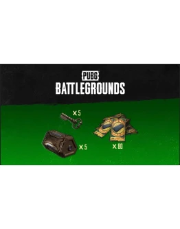 PUBG Эксклюзивный набор Выжившего 2 КЛЮЧ XBOX