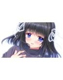 Sore wa Maichiru Sakura no You ni -Re:BIRTH- STEAM