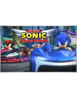 Team Sonic Racing (PS5/RU) П3 - Активация Team Sonic Racing (PS5/RU) П3 - Активация