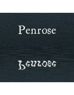 Penrose SteamРФ + Весь МирKey+ Бонус