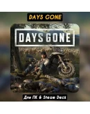 Days Gone+DLC Broken Road