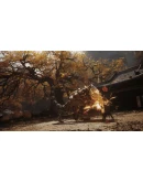 Black Myth: Wukong Цифровое deluxe-издание STEAM РОССИЯ