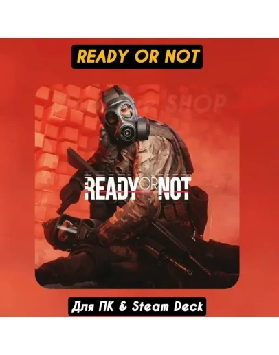 Ready or Not Ready or Not