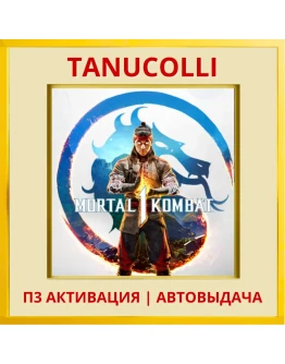 Mortal Kombat 1 (PS/PS5/RU) П3 - Активация