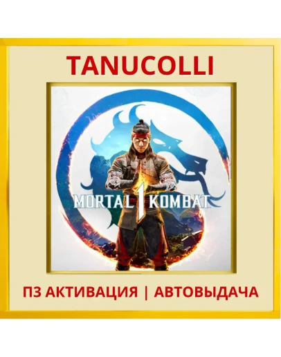Mortal Kombat 1 (PS/PS5/RU) П3 - Активация
