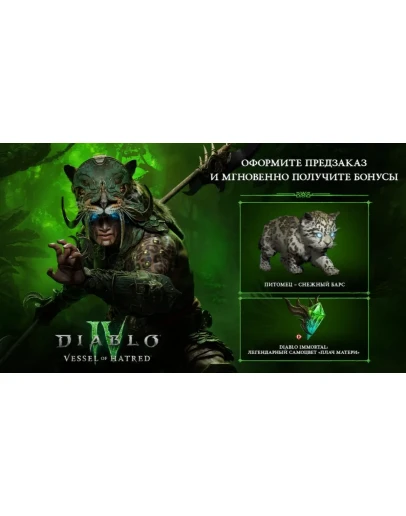 DIABLO IV:Vessel of Hatred МОМЕНТАЛЬНОBattle net