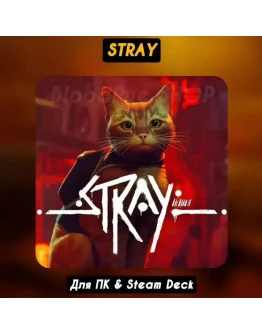 Stray Stray